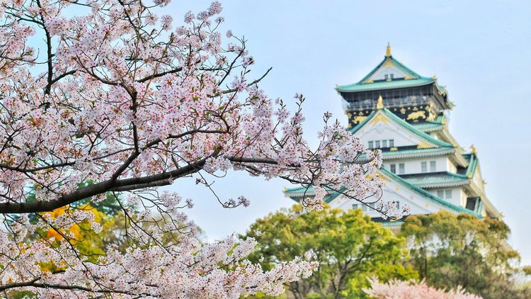 日本